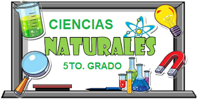 Ciencias Naturales 
Profesora: Yoheli Martinez